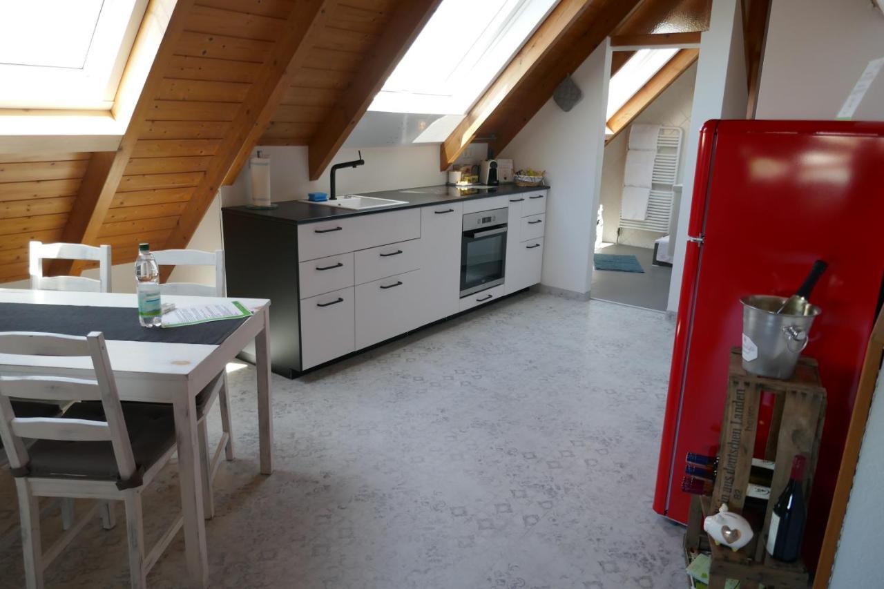Moderne 2 Zi - Fewo Weinbergliebe Am Tuniberg Zwischen Freiburg Und Frankreich Merdingen Exteriér fotografie